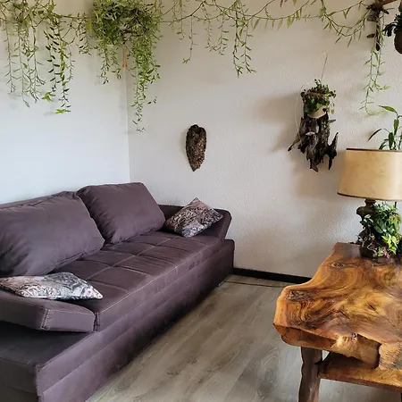 Colina 206